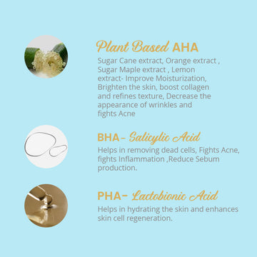 Plant Based AHA , BHA , PHA Gentle Exfoliating Daily Foaming Face Cleanser For Oily and Acne Prone Skin